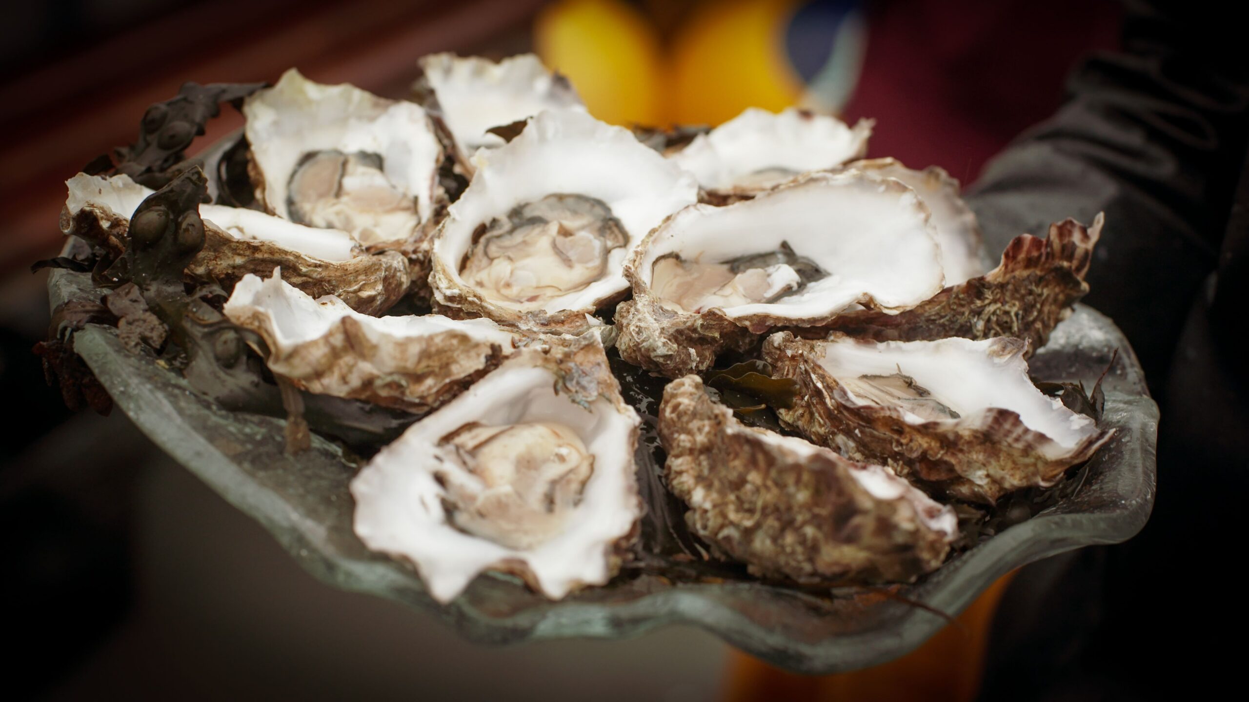 Galway International Oyster Festival Food Tour